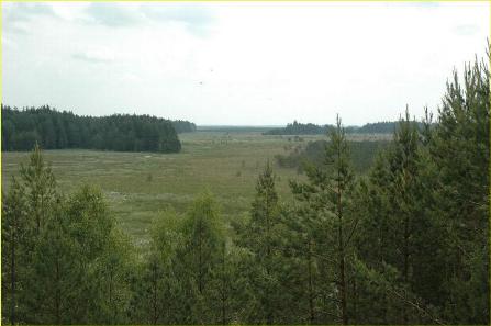 Dzūkija National Park